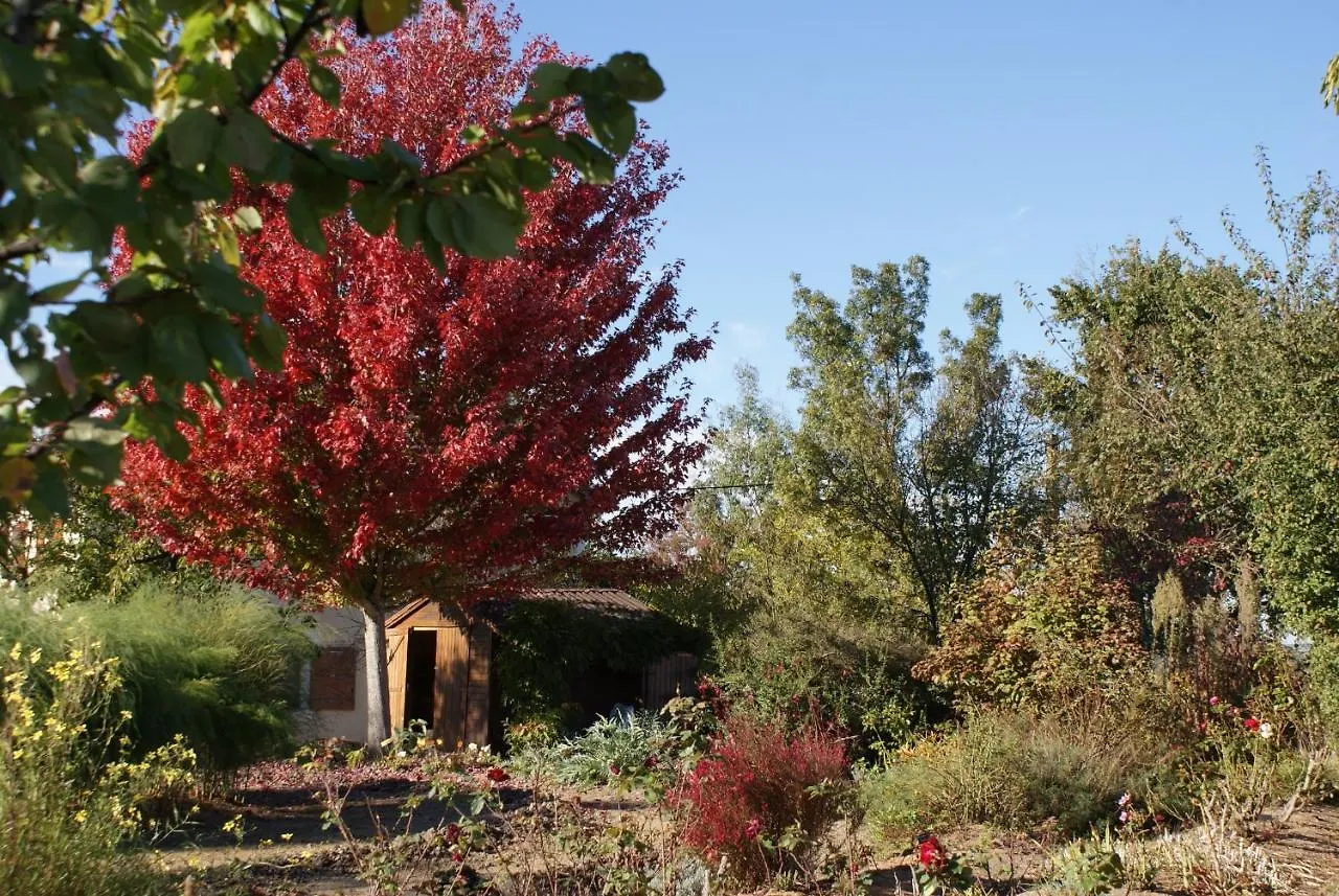 Bed and Breakfast Au Pichet Saint-Orens 3*,
